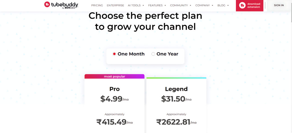 Tubebuddy Monthly Plan

